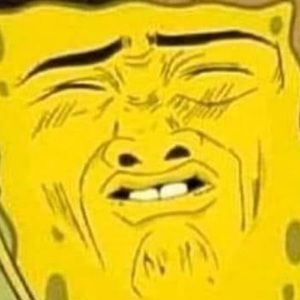 Meet your Posher, Bobby